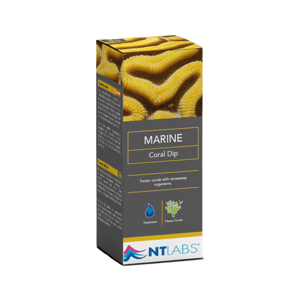 Marine Coral Dip